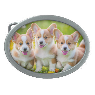 Corgies playing in the grass belt buckle