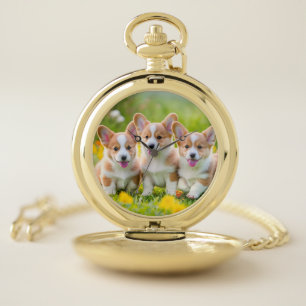 Corgies playing in the grass pocket watch