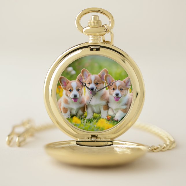 Corgies playing in the grass pocket watch (Inside)