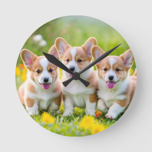 Corgies playing in the grass round clock