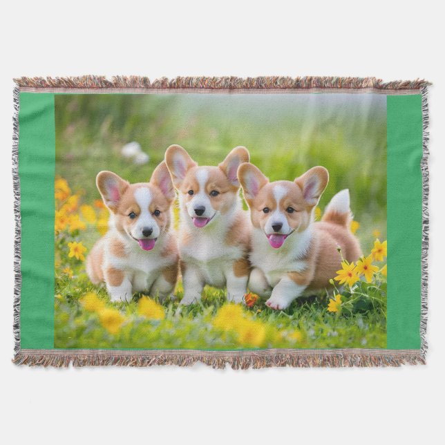 Corgies playing in the grass throw blanket (Front)