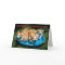 Corgis in a pool birthday card