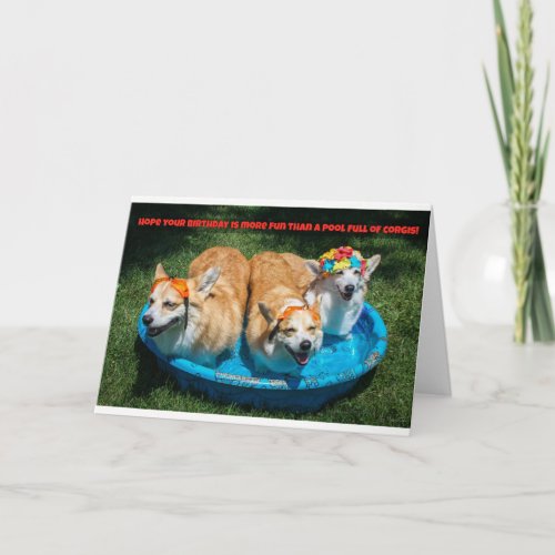 Corgis in a pool birthday card