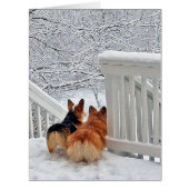 Corgis in the Snow (Front)
