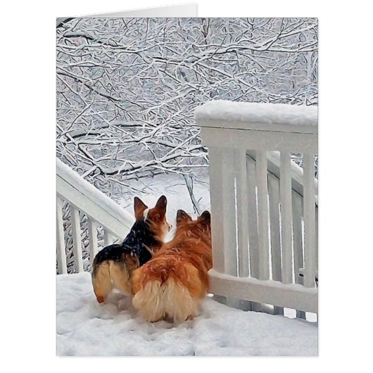 Corgis in the Snow Cards (Front)