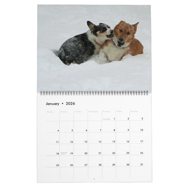 Corgis on the go 2014 calendar (Jan 2026)