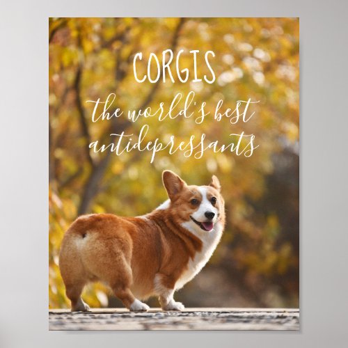 Corgis The Worlds Best Antidepressants Poster