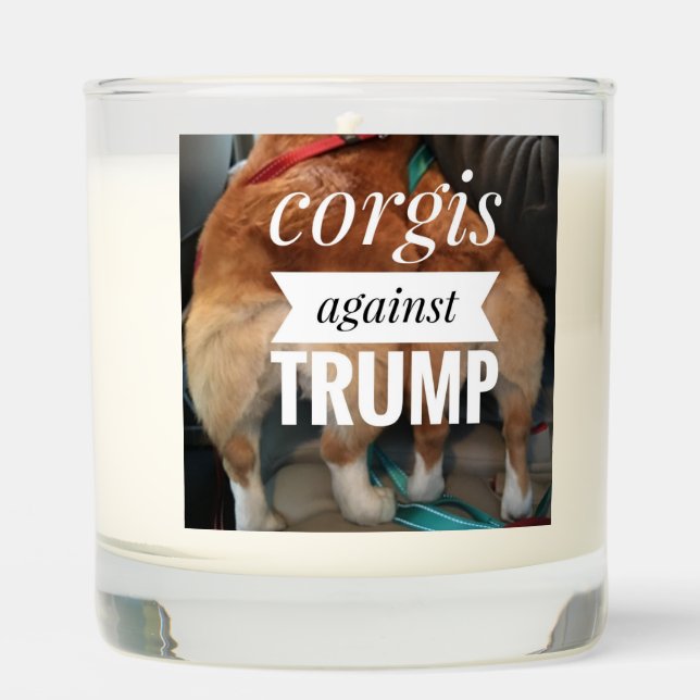 Corgs against candle  (Front)