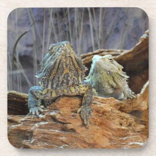 Cork Coaster with two curious lizards