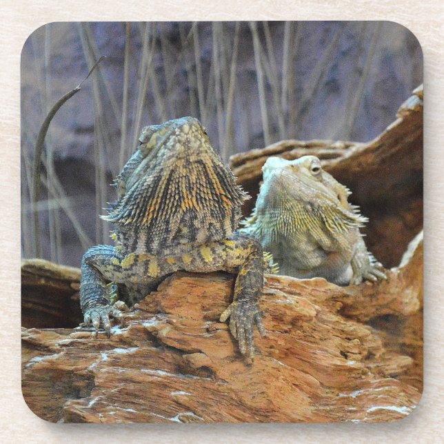 Cork Coaster with two curious lizards (Front)