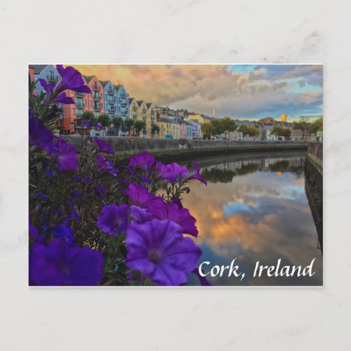 Cork Ireland Flowers River Lee Postcard