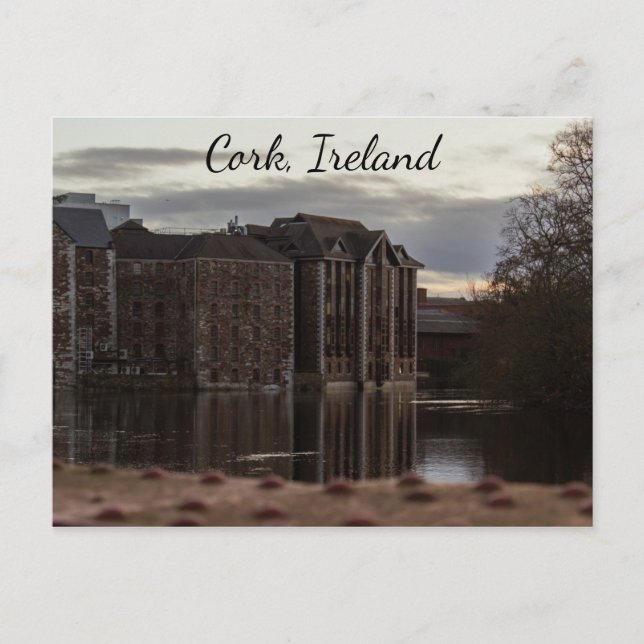 Cork Ireland River Photographic Postcard (Front)