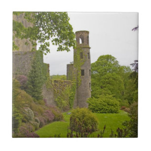 Cork, Ireland. The infamous Blarney Castle 2 Ceramic Tile