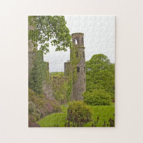 Cork Ireland The infamous Blarney Castle 2 Jigsaw Puzzle