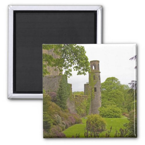 Cork Ireland The infamous Blarney Castle 2 Magnet