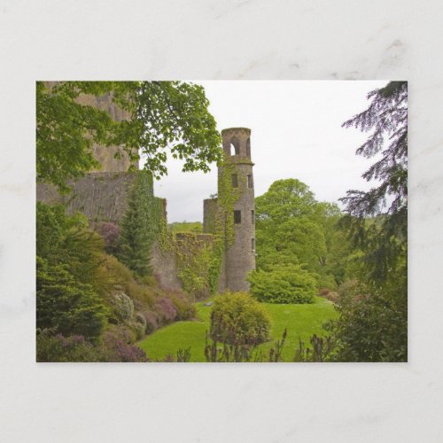 Cork Ireland The infamous Blarney Castle 2 Postcard