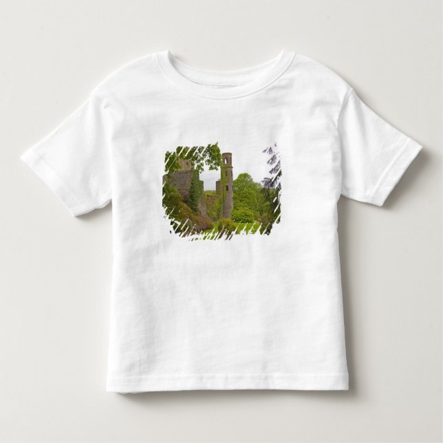 Cork, Ireland. The infamous Blarney Castle 2 Toddler T-shirt (Front)