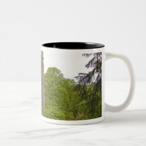 Cork Ireland The infamous Blarney Castle 2 Two_Tone Coffee Mug