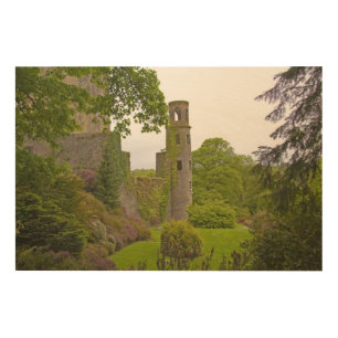 Cork, Ireland. The infamous Blarney Castle 2 Wood Wall Decor