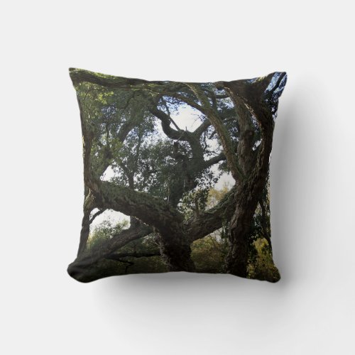 Cork oak or tree of the cork elegant tree throw pillow