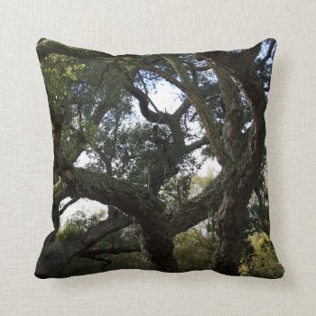 Cork Oak Or Tree Of The Cork  Elegant Tree Throw Pillow by FormaNatural at Zazzle