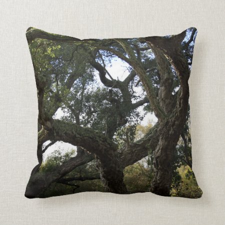 Cork Oak Or Tree Of The Cork, Elegant Tree Throw Pillow