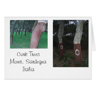 Cork Trees - Sardinia, Italy Cards