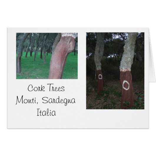 Cork Trees - Sardinia, Italy Cards (Front Horizontal)