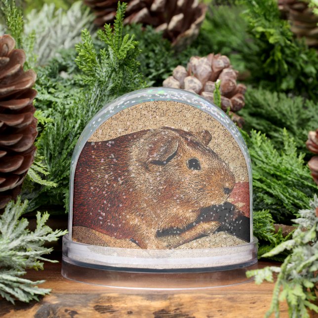 Corkboard Look Guinea Pig Snow Globe (Winter)