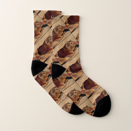 Corkboard Look Guinea Pig Socks