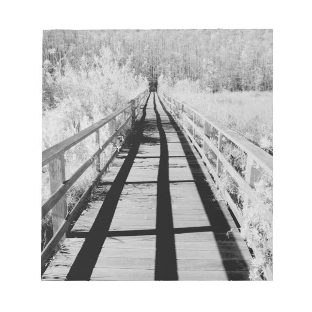 Corkscrew Swamp Sanctuary boardwalk, Florida, Notepad (Front)