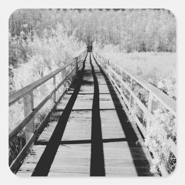 Corkscrew Swamp Sanctuary boardwalk, Florida, Square Sticker (Front)