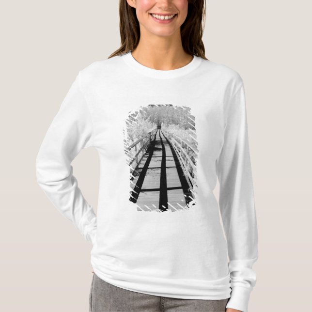 Corkscrew Swamp Sanctuary boardwalk, Florida, T-Shirt (Front)