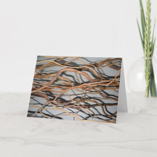 Corkscrew willow twisted willow branches photo card