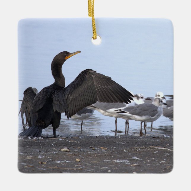 Cormorant and Seagulls Ornament  (Front)