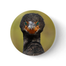 Cormorant Attitude
