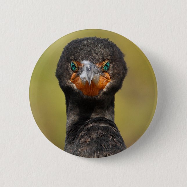 Cormorant Attitude Pinback Button (Front)
