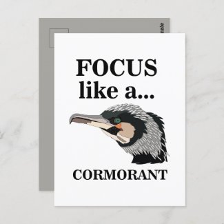 Cormorant Bird Focus Like A Cormorant 