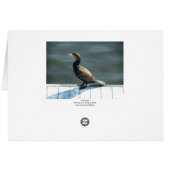 Cormorant Cards (Back Horizontal)