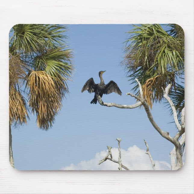 Cormorant Drying Wings Mousepad (Front)