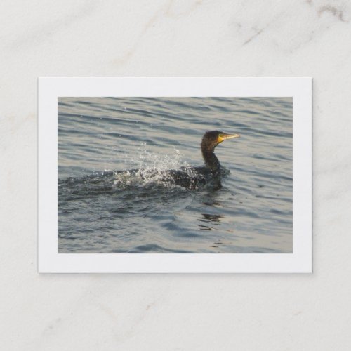 Cormorant Learning to Swim Bordered Business Card