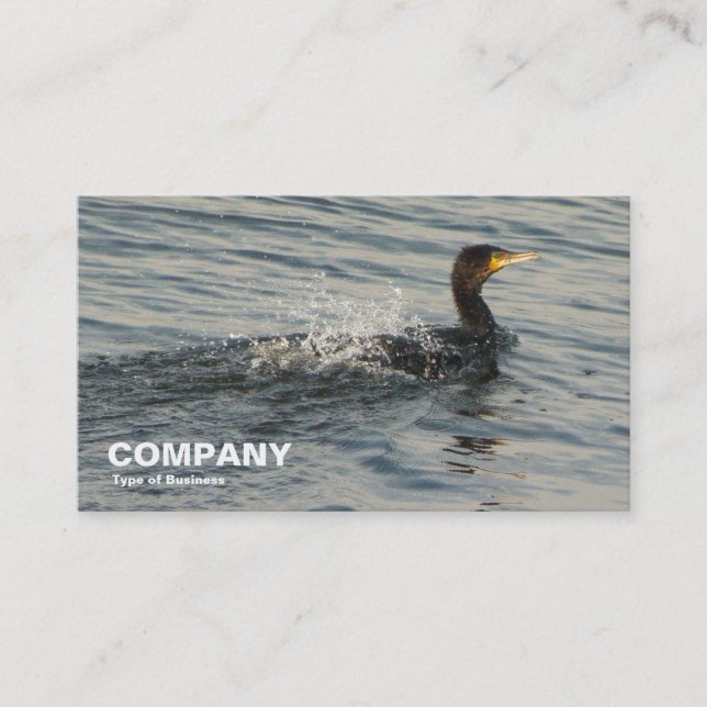 Cormorant Learning to Swim Business Card (Front)