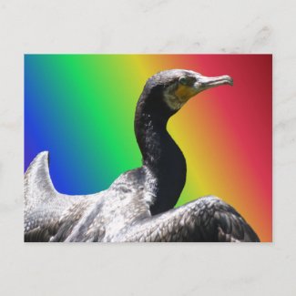 Cormorant Rainbow DIY Postcard