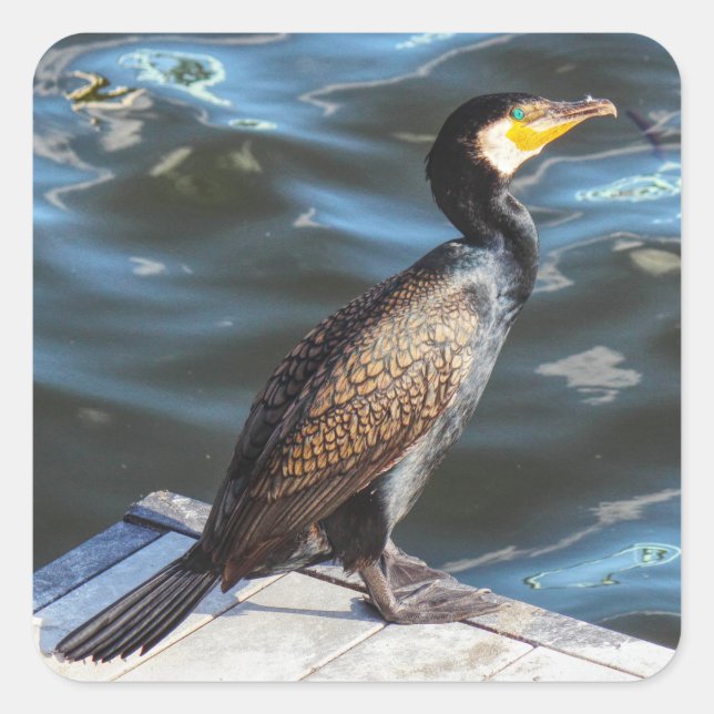 Cormorant Square Sticker (Front)