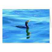 Cormorant swimming (Front Horizontal)
