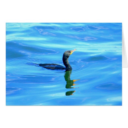 Cormorant swimming cards (Front Horizontal)