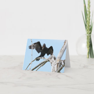 Cormorant using wings to balance card