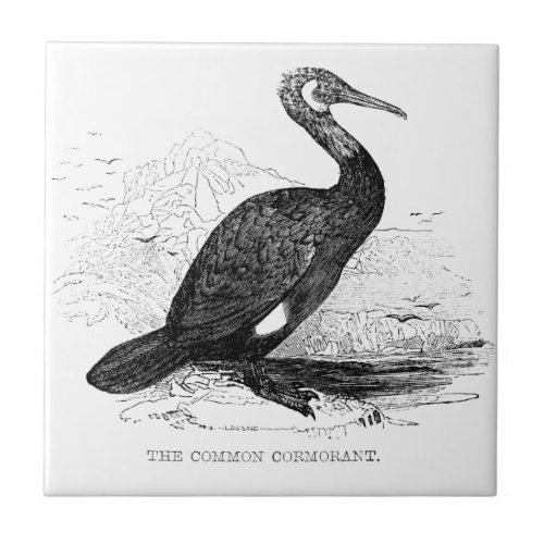 Cormorant Vintage Bird Wildlife Drawing Ceramic Tile