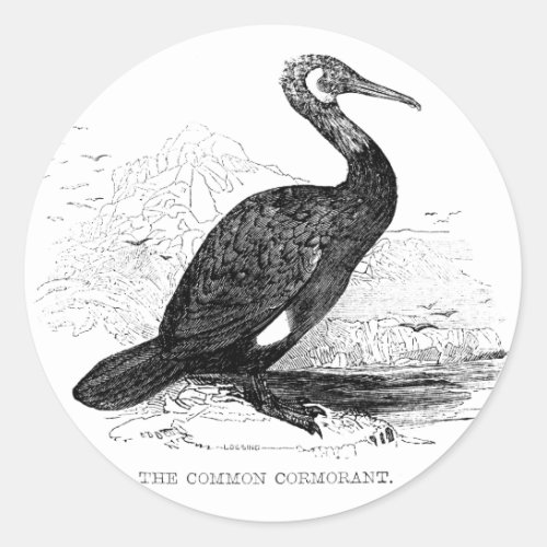 Cormorant Vintage Bird Wildlife Drawing Classic Round Sticker