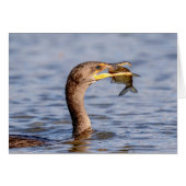 Cormorant with a fish (Front Horizontal)